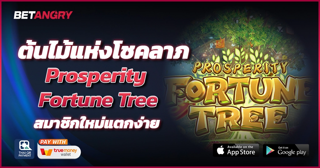 ต้นไม้แห่งโชคลาภ Prosperity Fortune Tree สมาชิกใหม่แตกง่าย